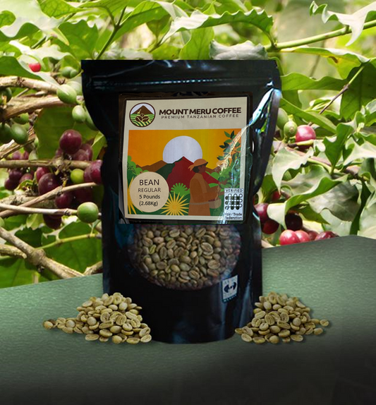 5-Pound Mt Meru Premium Green Coffee Beans