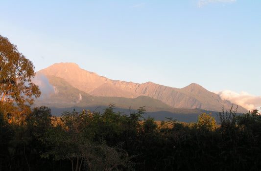 A Look at Mt. Meru Coffee Project’s History