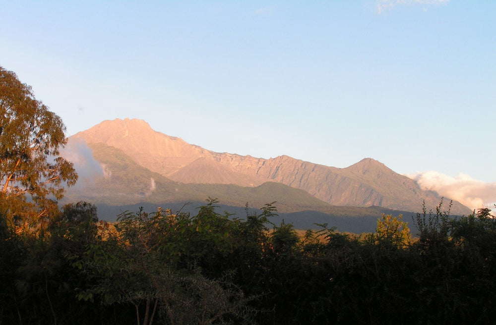 A Look at Mt. Meru Coffee Project’s History
