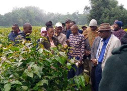Farmer Training